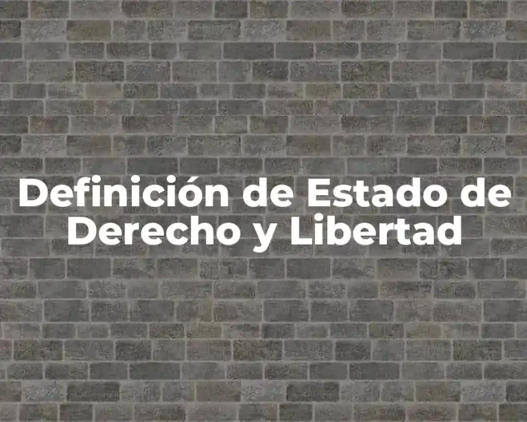 Definición de Estado de Derecho y Libertad