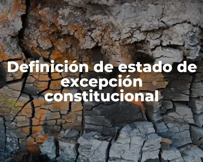 Definición de estado de excepción constitucional