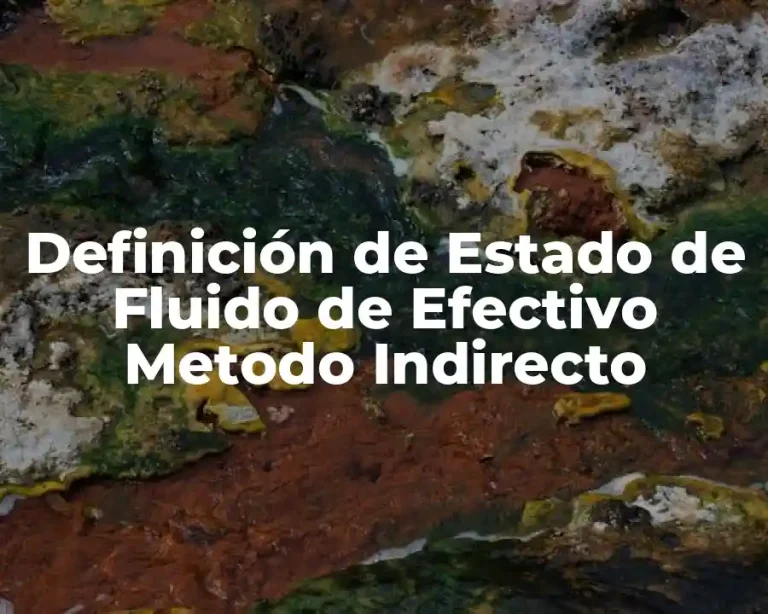 Definición de Estado de Fluido de Efectivo Metodo Indirecto