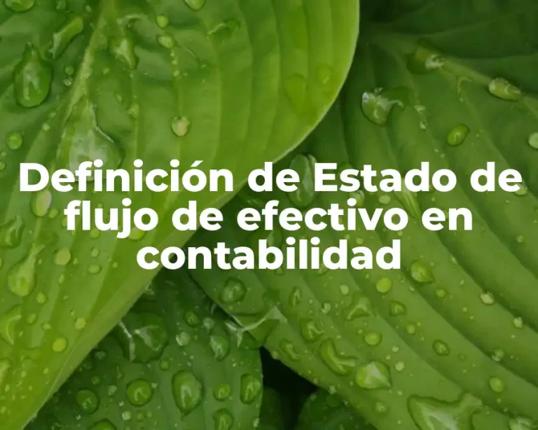 Definición de Estado de flujo de efectivo en contabilidad