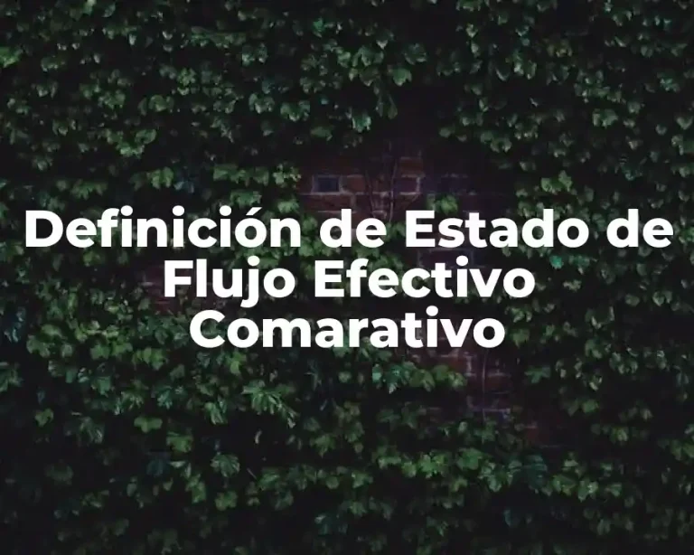 Definición de Estado de Flujo Efectivo Comarativo