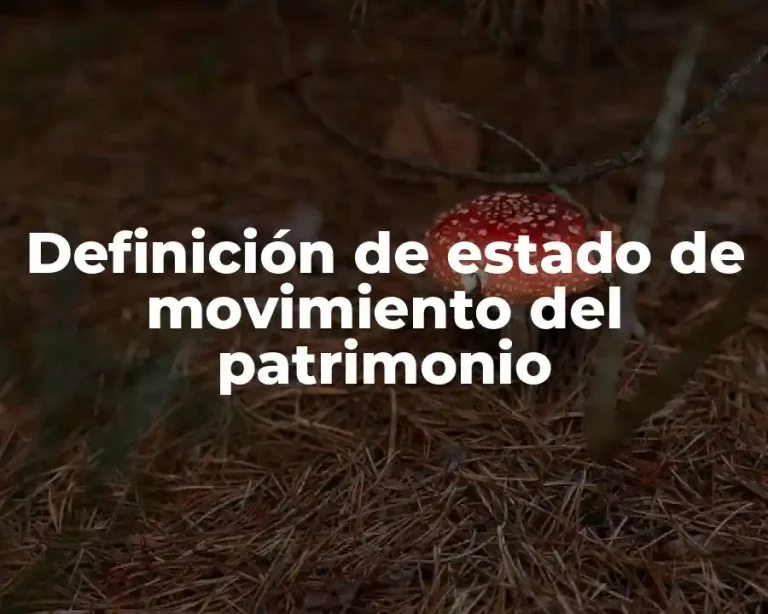 Definición de estado de movimiento del patrimonio