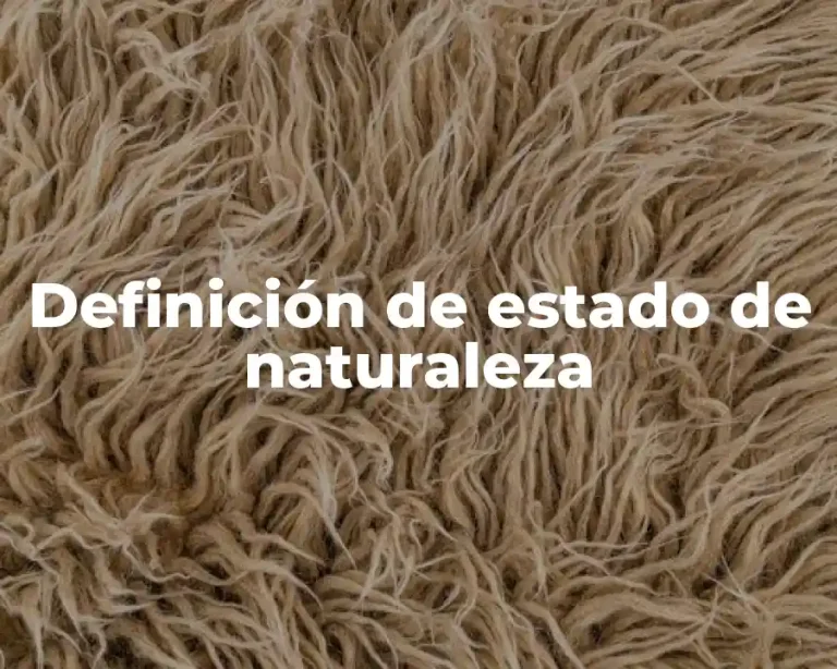 Definición de estado de naturaleza