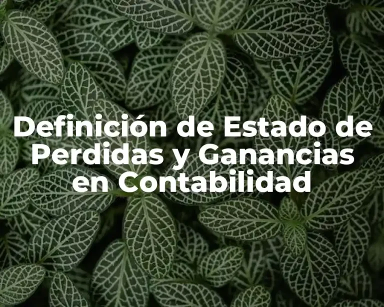 Definición de Estado de Perdidas y Ganancias en Contabilidad
