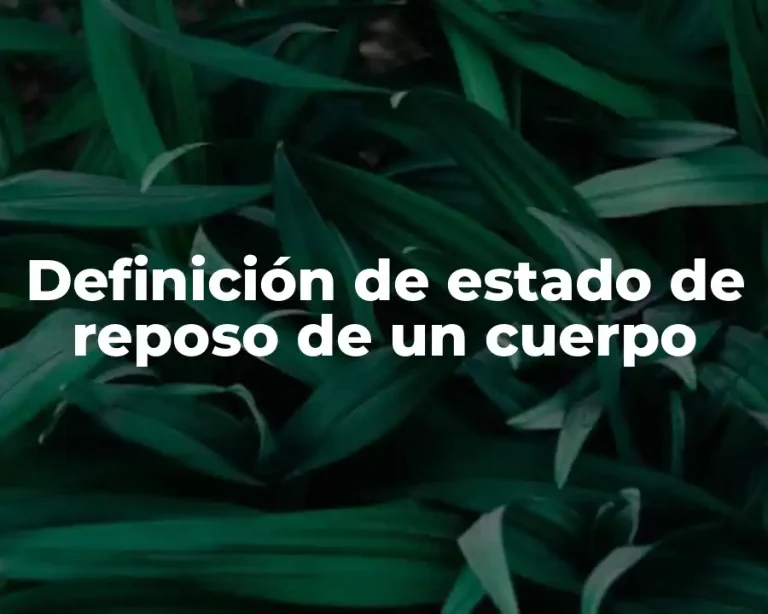 Definición de estado de reposo de un cuerpo