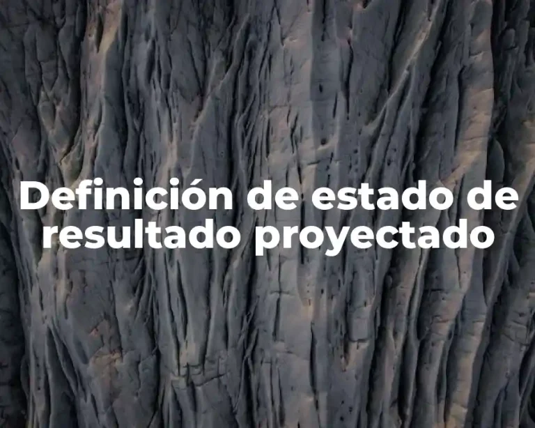 Definición de estado de resultado proyectado