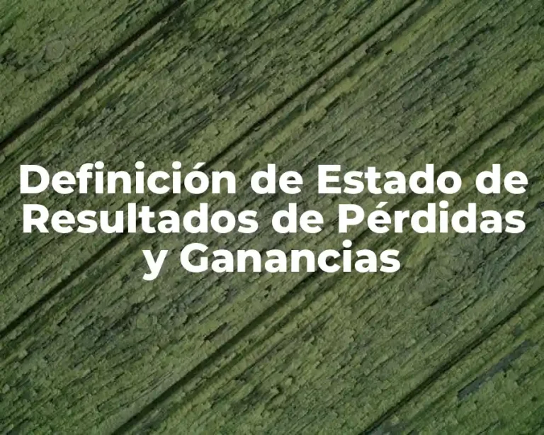 Definición de Estado de Resultados de Pérdidas y Ganancias
