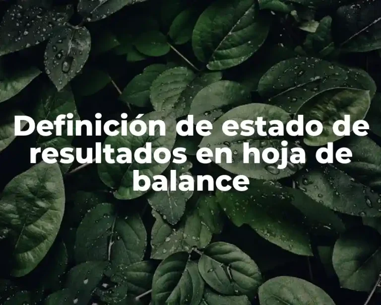 Definición de estado de resultados en hoja de balance