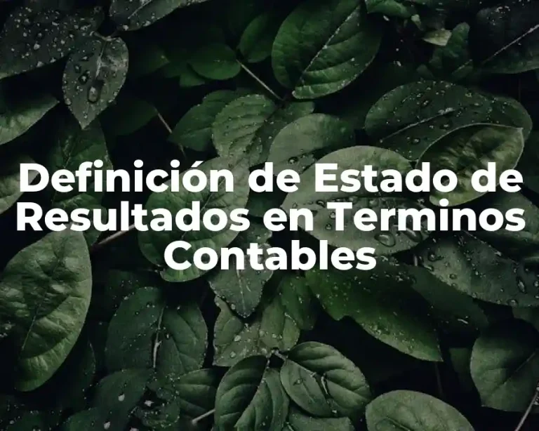 Definición de Estado de Resultados en Terminos Contables