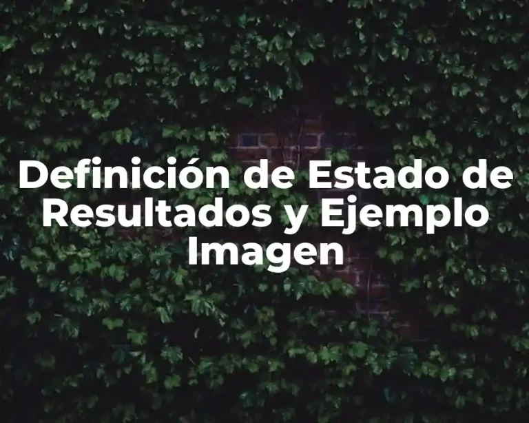 Definición de Estado de Resultados y Ejemplo Imagen