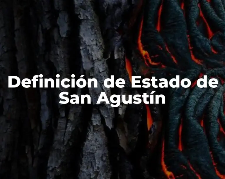 Definición de Estado de San Agustín