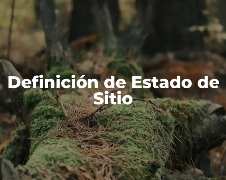 Definición de Estado de Sitio