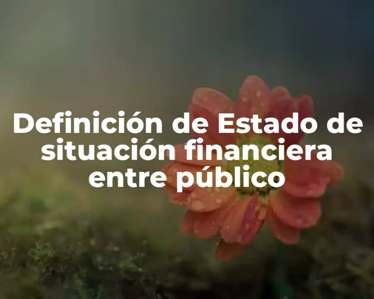 Definición de Estado de situación financiera entre público