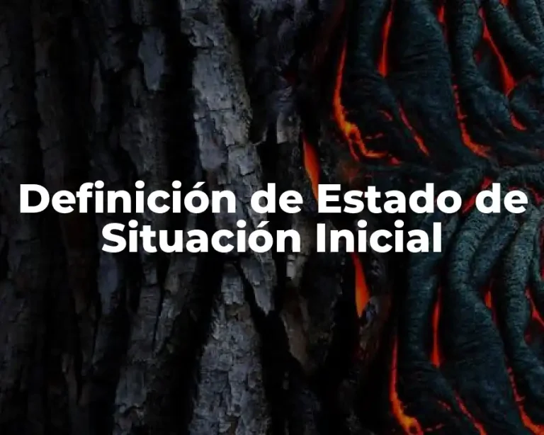 Definición de Estado de Situación Inicial