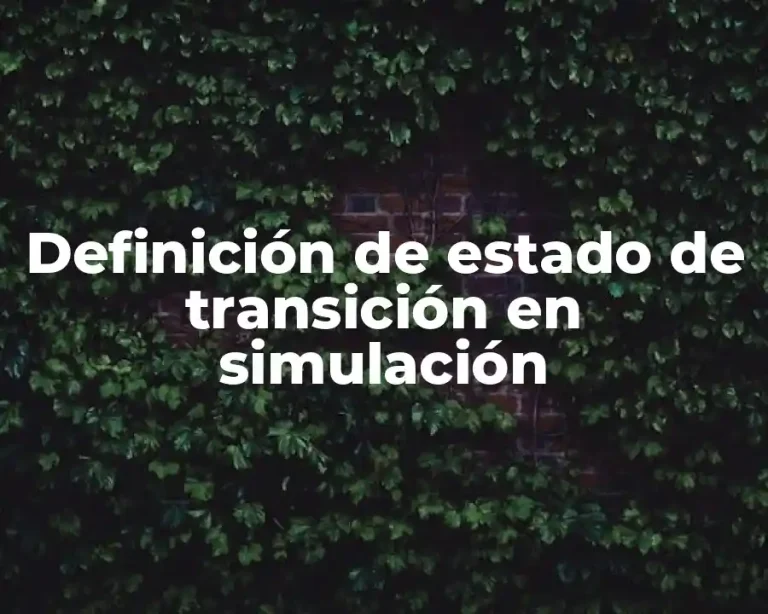 Definición de estado de transición en simulación