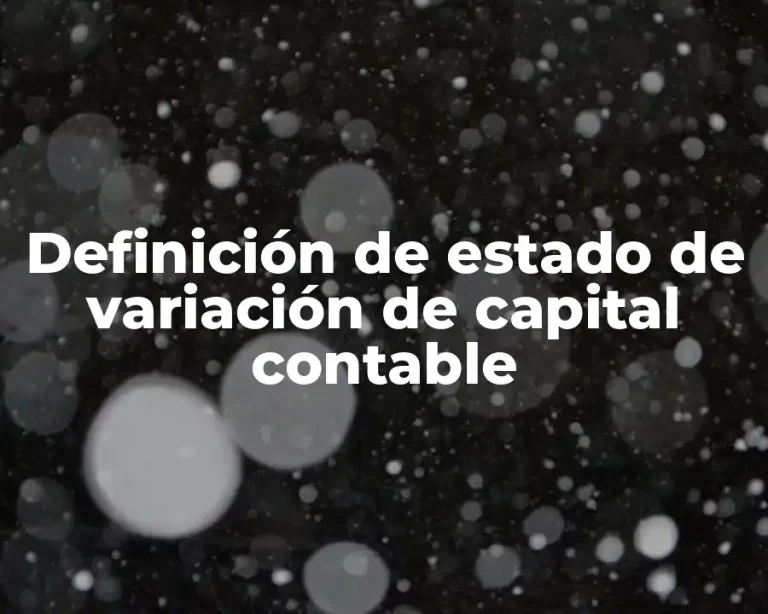 Definición de estado de variación de capital contable