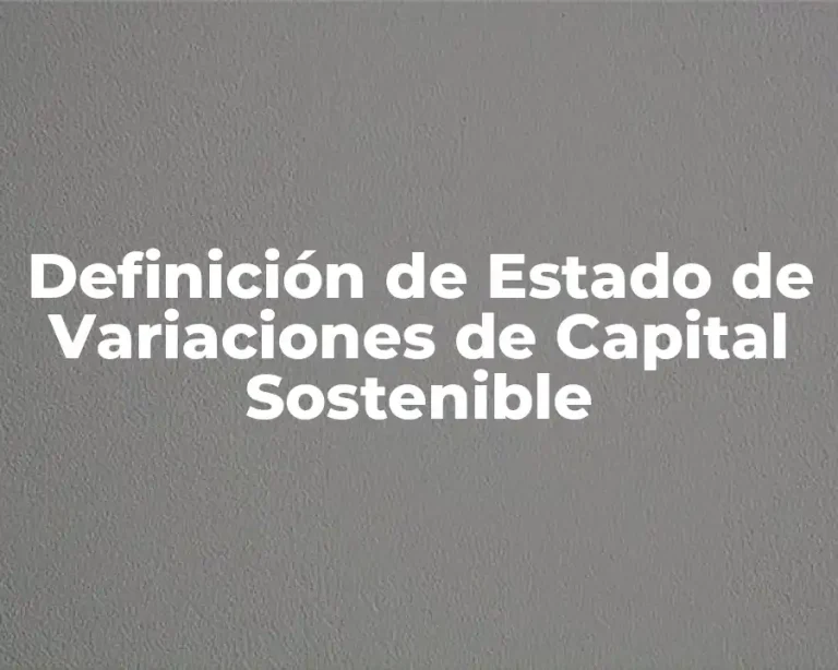 Definición de Estado de Variaciones de Capital Sostenible
