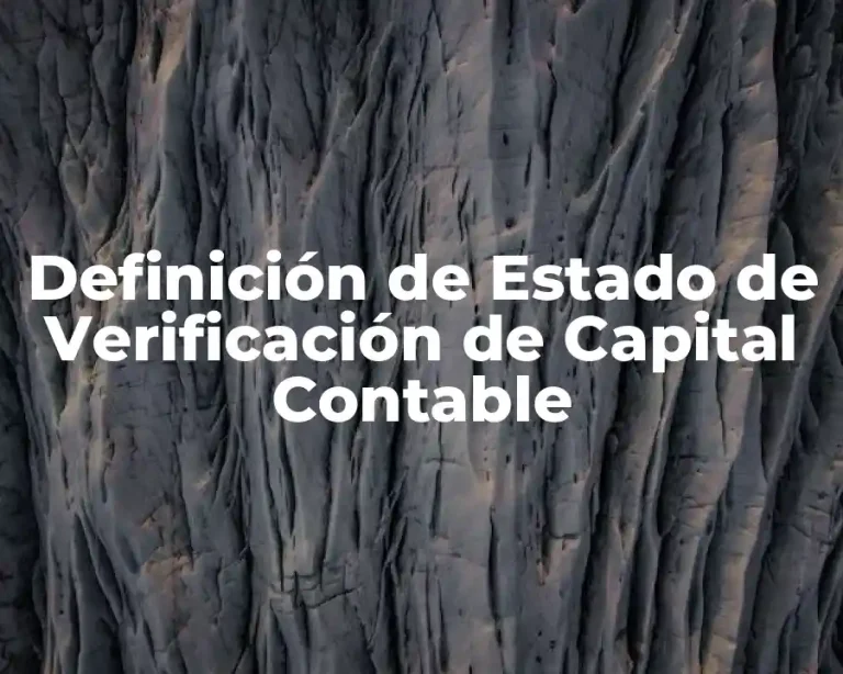 Definición de Estado de Verificación de Capital Contable