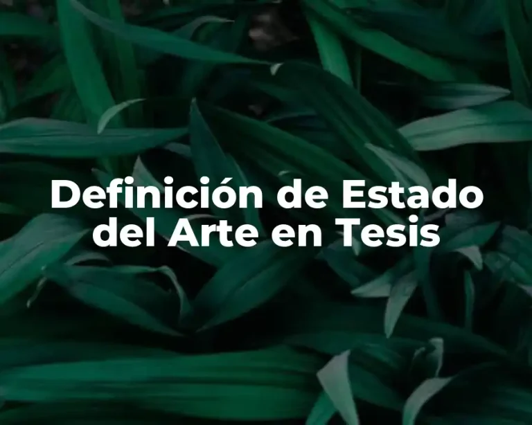 Definición de Estado del Arte en Tesis