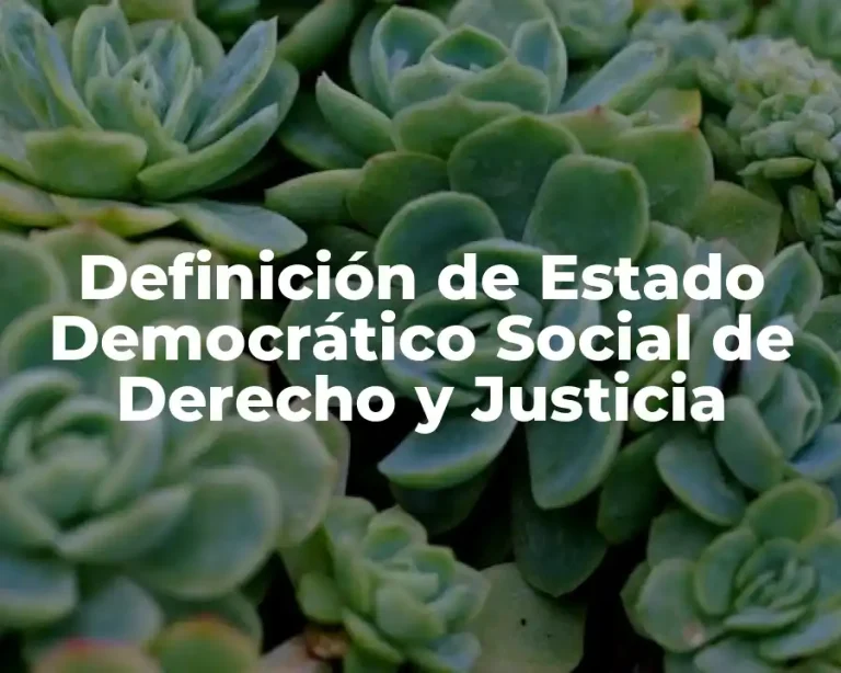 Definición de Estado Democrático Social de Derecho y Justicia