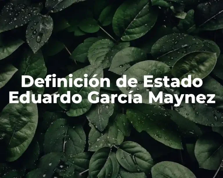 Definición de Estado Eduardo García Maynez