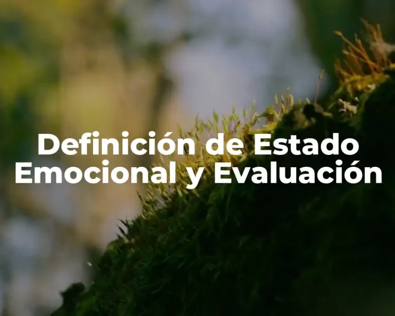 Definición de Estado Emocional y Evaluación