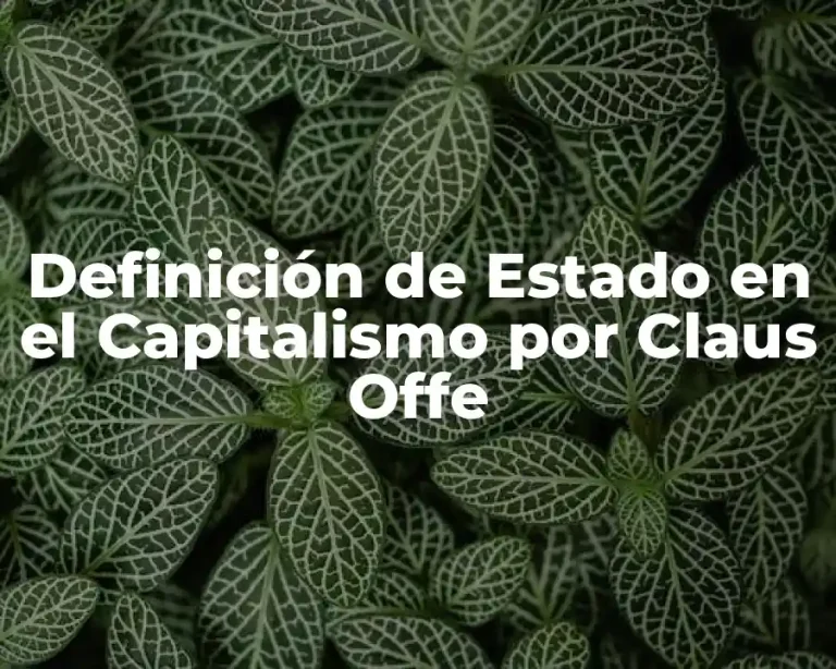 Definición de Estado en el Capitalismo por Claus Offe