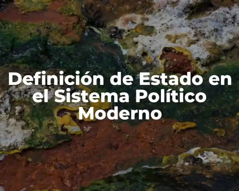 Definición de Estado en el Sistema Político Moderno