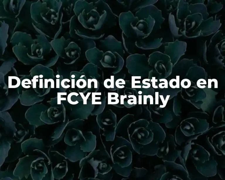 Definición de Estado en FCYE Brainly