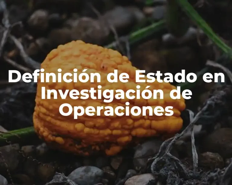Definición de Estado en Investigación de Operaciones