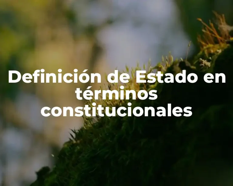 Definición de Estado en términos constitucionales
