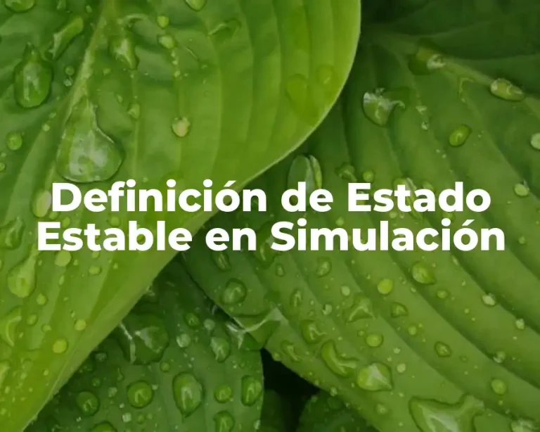 Definición de Estado Estable en Simulación