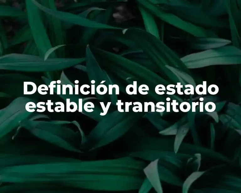 Definición de estado estable y transitorio