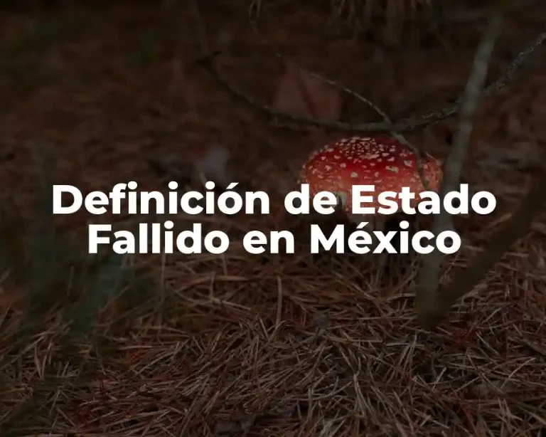 Definición de Estado Fallido en México