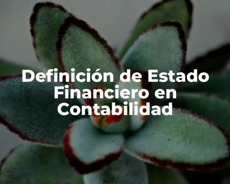Definición de Estado Financiero en Contabilidad