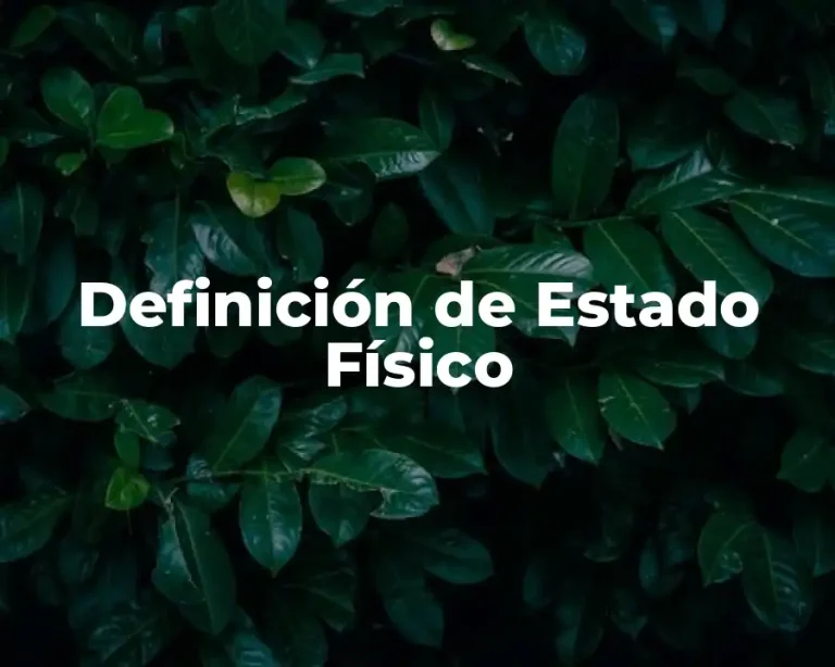 Definición de Estado Físico