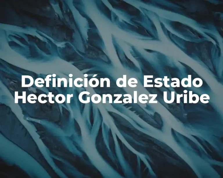 Definición de Estado Hector Gonzalez Uribe