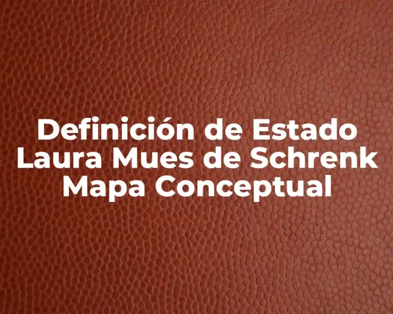 Definición de Estado Laura Mues de Schrenk Mapa Conceptual