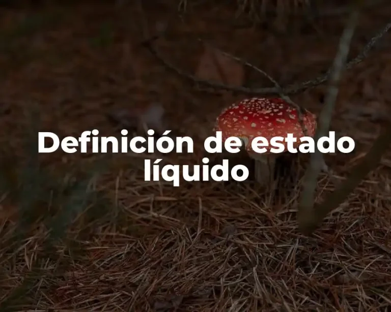 Definición de estado líquido