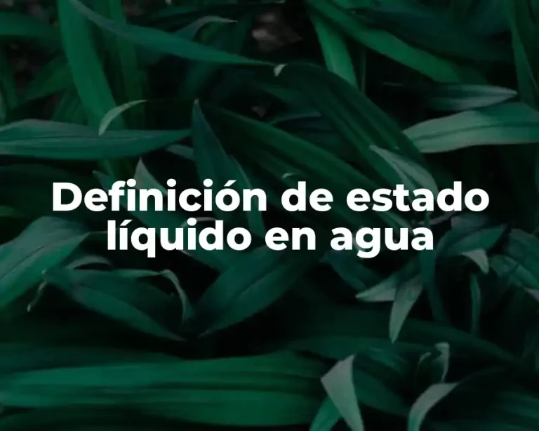 Definición de estado líquido en agua