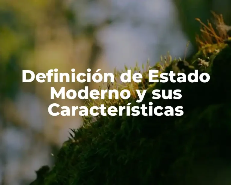 Definición de Estado Moderno y sus Características