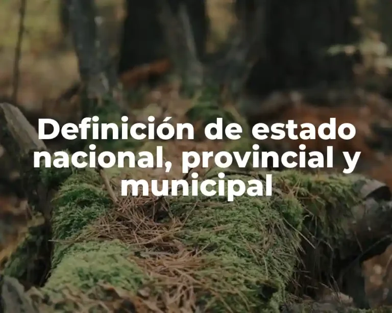 Definición de estado nacional, provincial y municipal