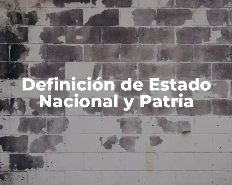 Definición de Estado Nacional y Patria