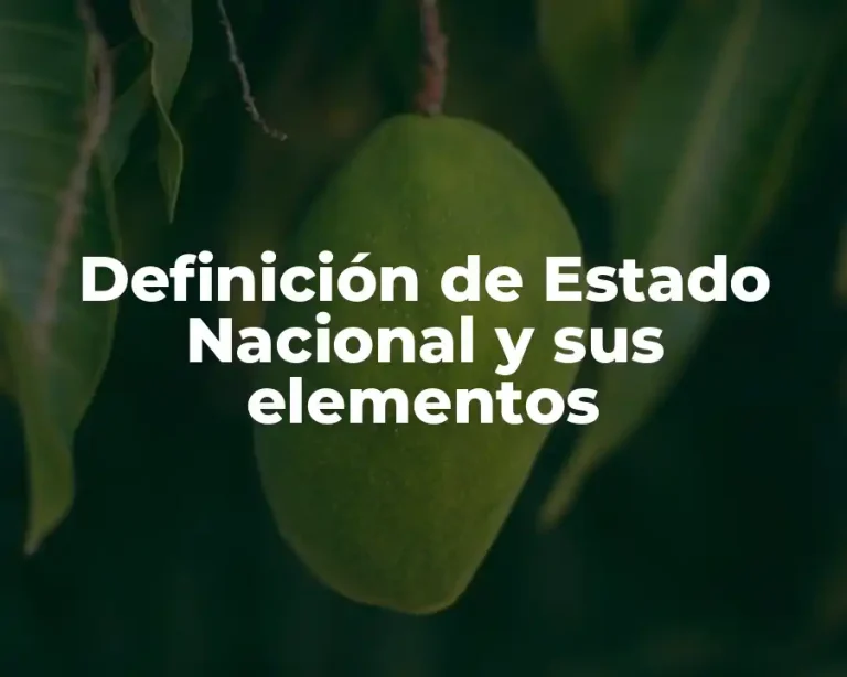 Definición de Estado Nacional y sus elementos