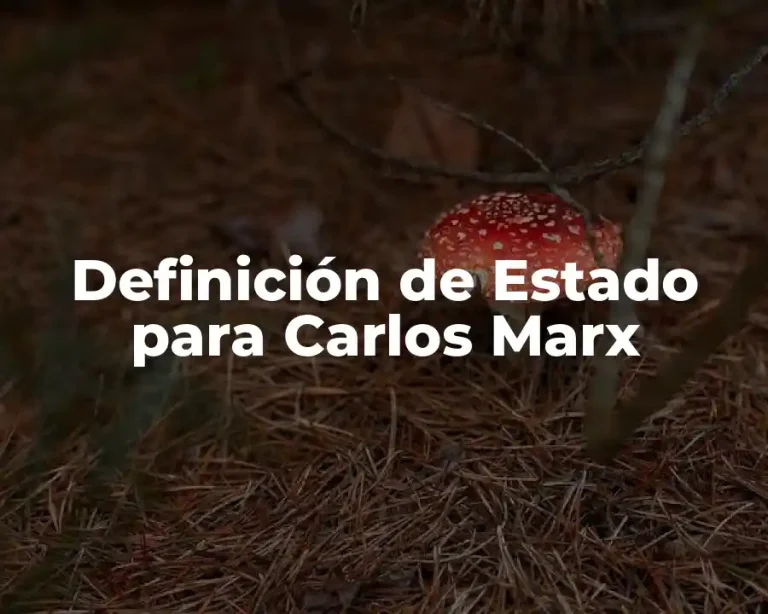 Definición de Estado para Carlos Marx