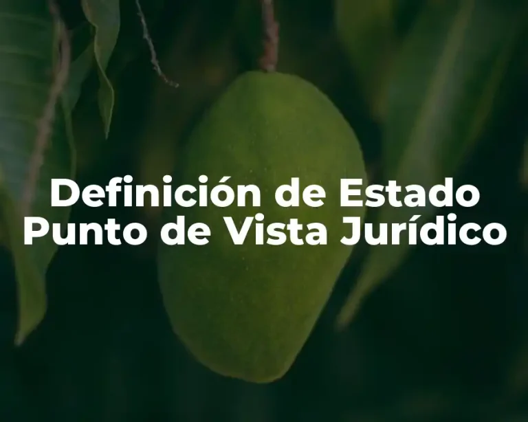 Definición de Estado Punto de Vista Jurídico