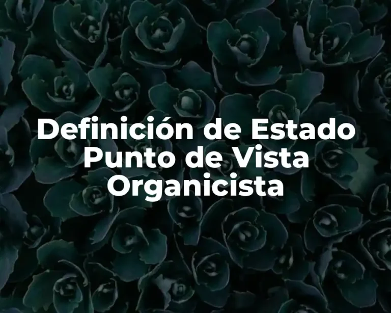 Definición de Estado Punto de Vista Organicista