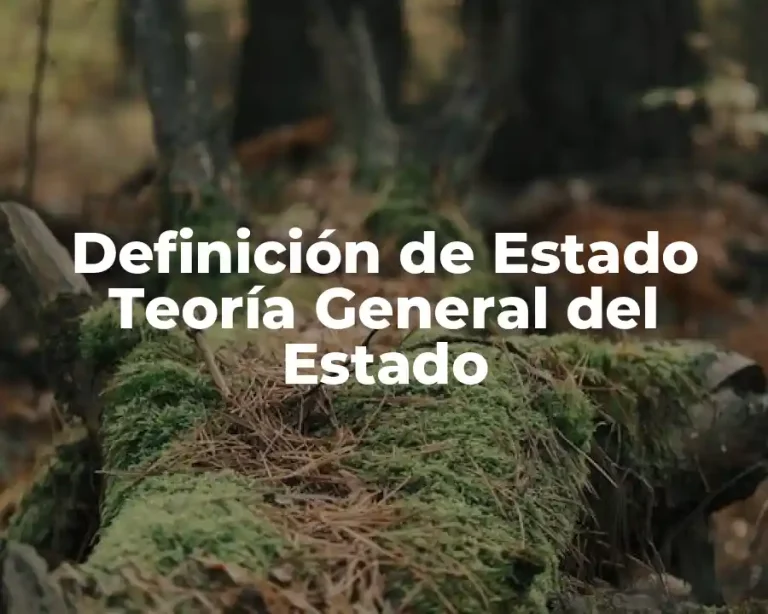 Definición de Estado Teoría General del Estado