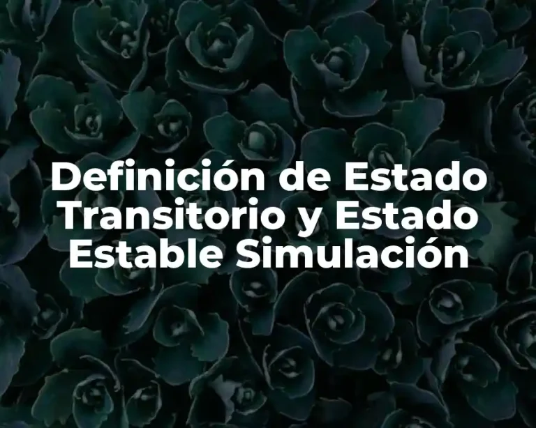 Definición de Estado Transitorio y Estado Estable Simulación
