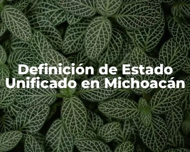 Definición de Estado Unificado en Michoacán